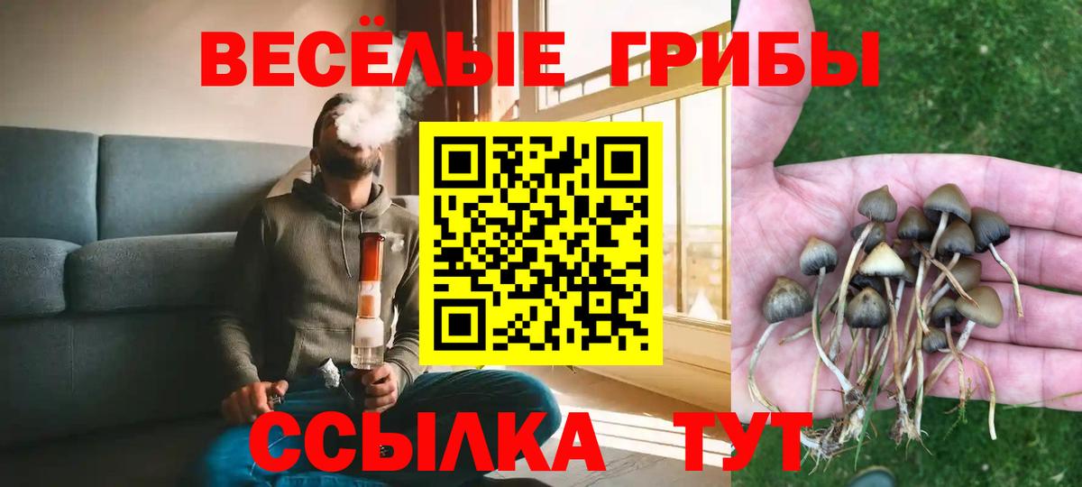 Галлюциногенные грибы Psilocybine cubensis  цена   Галлюциногенные грибы Magic Shrooms  Старый Оскол  Вход с VPN 